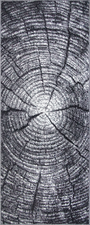 Albero