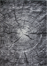 Albero