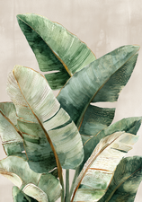 Foliage