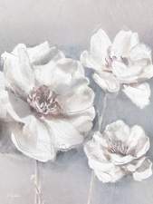 White Flowers