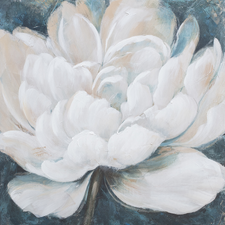 White Peony