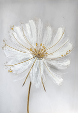 Gentle petals taulu 70x100 cm